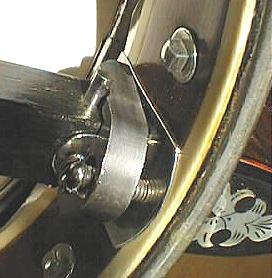 Horseshoe Neck Brace